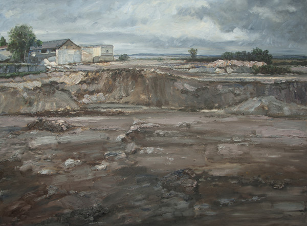 作品名称：《土地•正在消失的家园》获江苏省第5届新人展•佳作奖